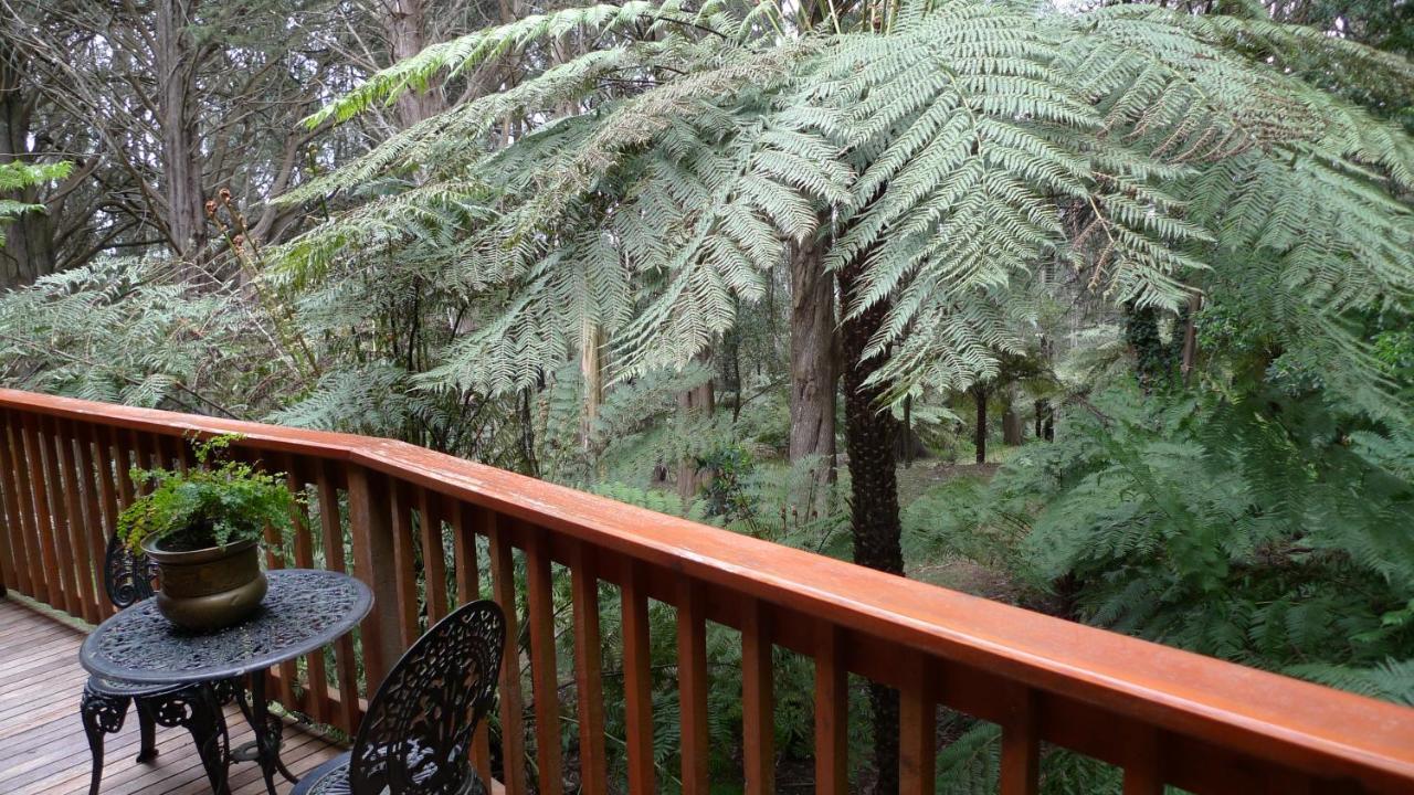 Chudleigh Park Cottages Sassafras Exteriör bild
